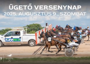 Svecz Istvánra emlékezünk a szombati ügetőn!