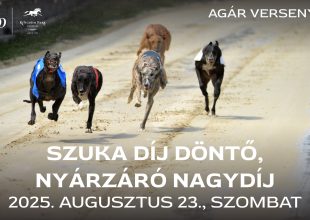 Újra három szakág a Kincsem Parkban!