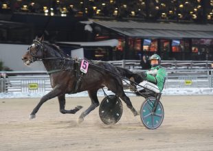 Vasárnap Vincennes lesz a Kincsem+ otthona