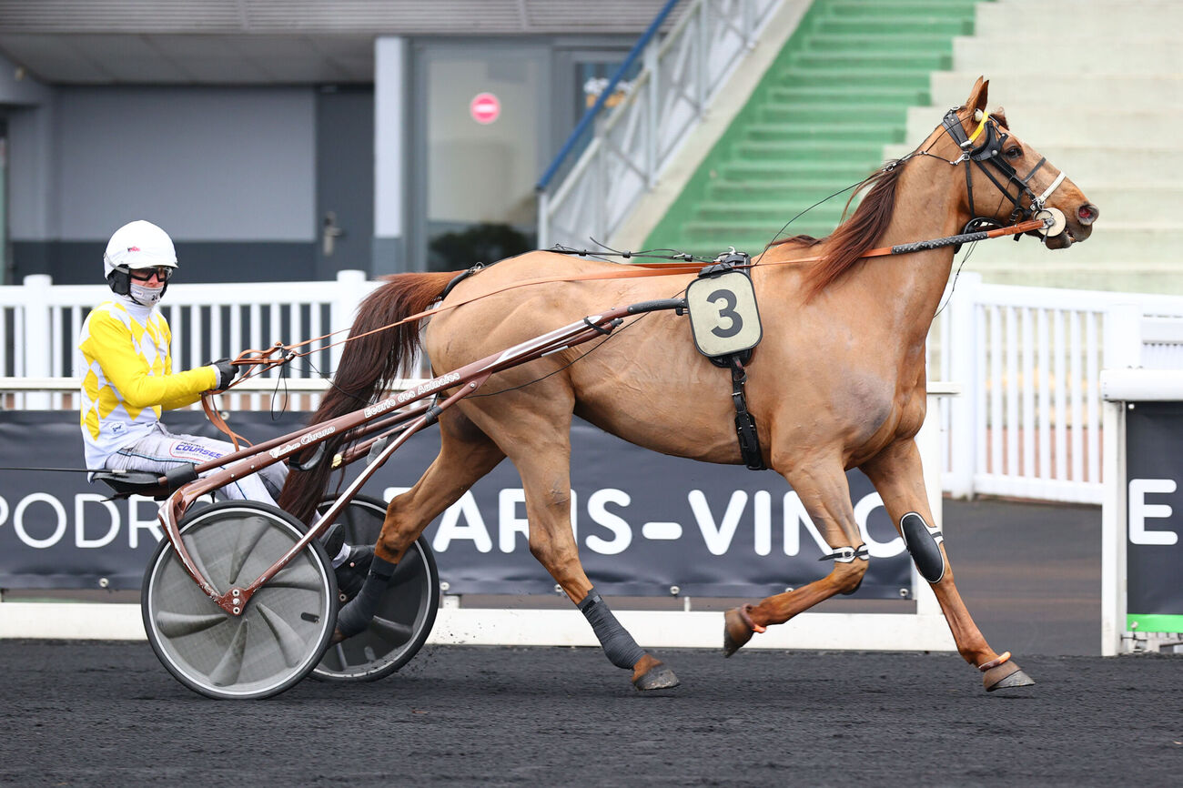 Hercule de Leau
