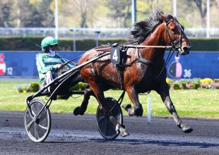 Angers, ügető, szerda 13:55 - Kincsem+ futam