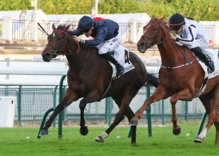 Longchamp, galopp, csütörtök 13:55 - Kincsem+