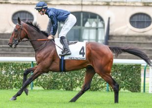 Compiégne, galopp, kedd 13:55 - Kincsem+ szakértői tippek