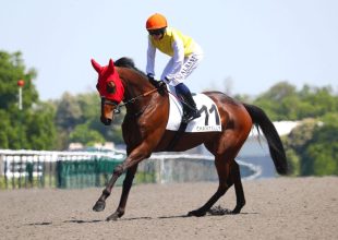 Chantilly, galopp, csütörtök 13:55 - Kincsem+