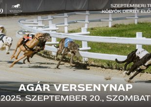 Pörög a versenyszezon, szombaton agár- és ügetőversenyekkel indítjuk be a hétvégét, vasárnap pedig vár a galopp!
