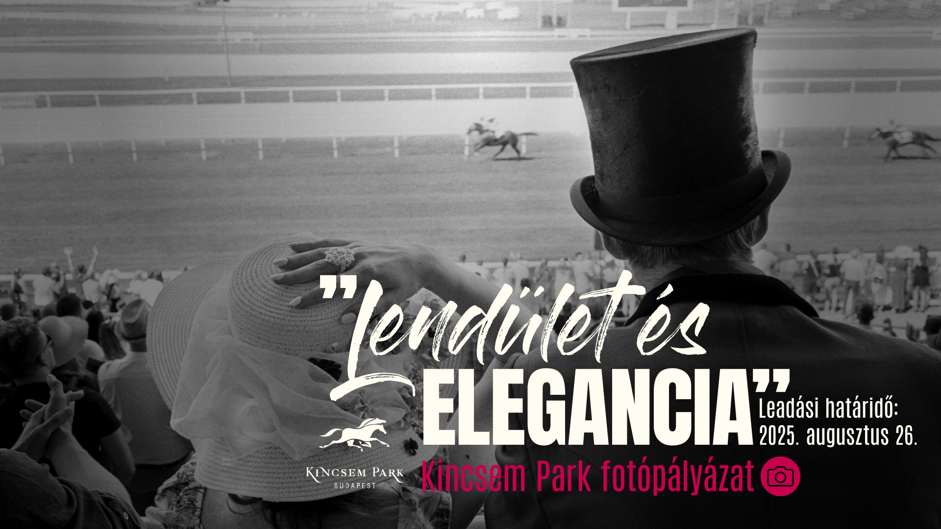 Lendület és Elegancia Fotópályázat