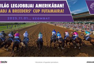 BREEDERS' CUP A SZOMBATI FOGADÁSI AJÁNLATBAN!