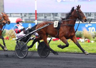 Péntek esti ügetővel vár a Kincsem+ futam