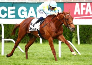 Saint-Cloud-i síkverseny a csütörtöki Kincsem+ futam