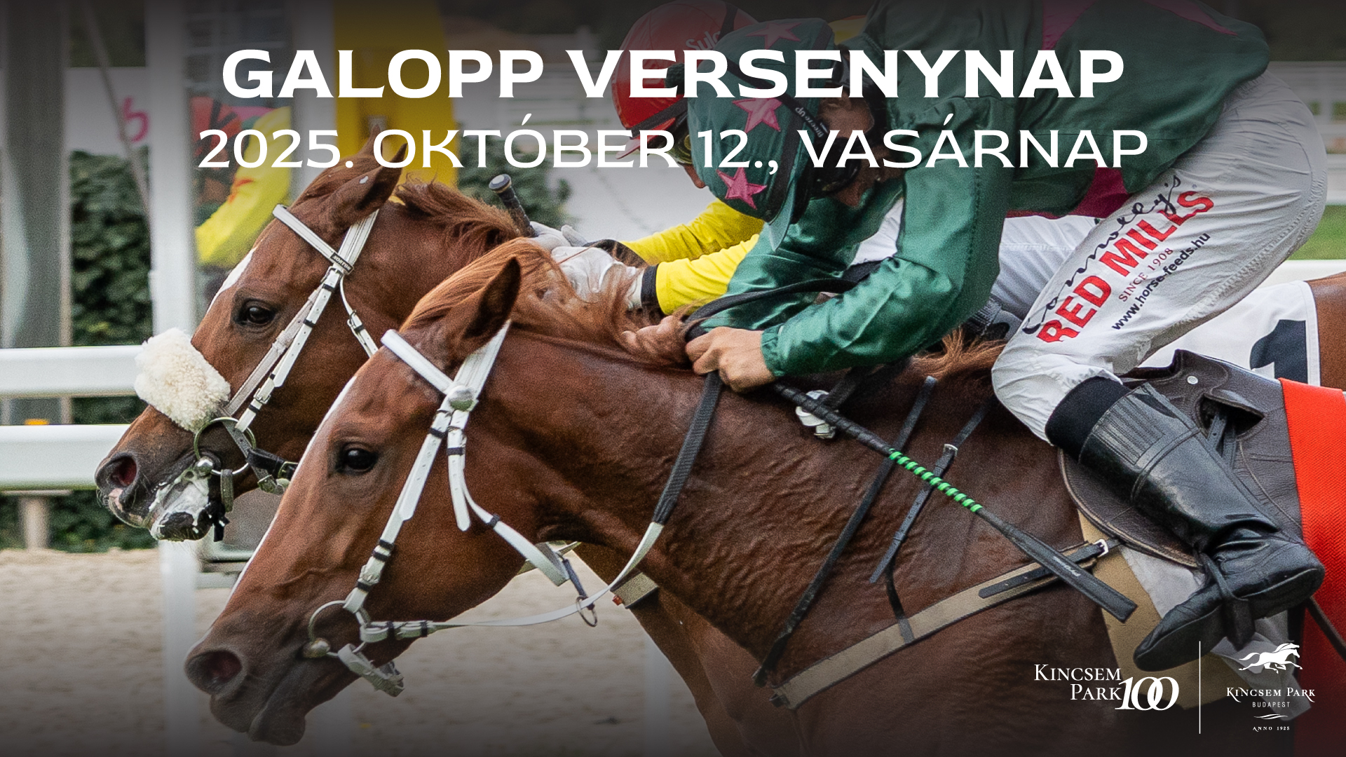 Galopp versenynap, 2025. október 12., vasárnap