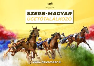 SZERB-MAGYAR ÜGETŐTALÁLKOZÓ