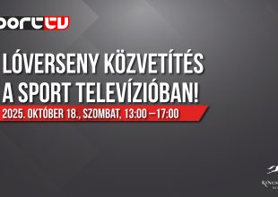Lóverseny a Sport Tv adásában!