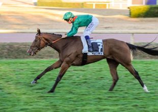 Szerdán 13:55-kor vár a Kincsem+!