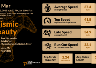 TPD a Breeders’ Cup-on és a Kincsem Parkban