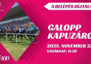 GALOPP KAPUZÁRÓ VASÁRNAP A KINCSEM PARKBAN!