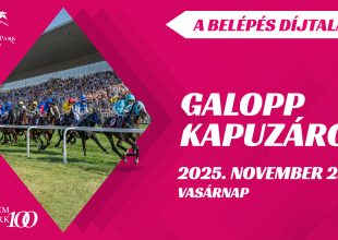 Az év utolsó galopp versenynapja!