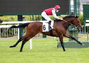 Saint-Cloud – síkverseny – vasárnap – 13:55 - Kincsem+ játék