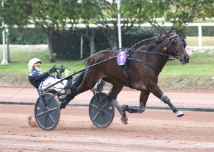 Hagyományos ügető a pénteki Kincsem+ játék