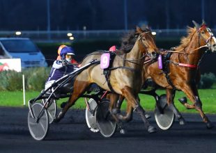 Jackpotos Kincsem+ játék vasárnapra!