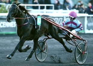 Vincennes-i ügető a szombati Kincsem+ futam!