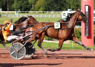 Nantes – ügető – szerda – 13:55 – Grand National du Trot!
