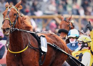 Vincennes-i ügető a szombati Kincsem+ kínálat