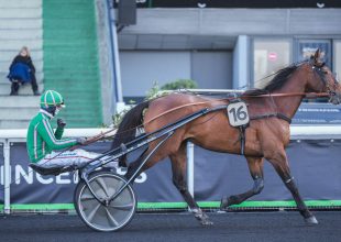 Bordeaux-le-Bouscat – ügető – szerda – 13:55: Kincsem+ játék