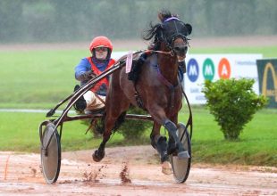 Jeannette Priory lehet a szerdai Kincsem+ futam főszereplője