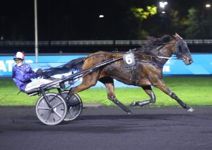 Hétfői Kincsem+ elemzés