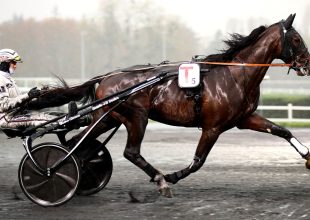 Vasárnap 400 millió Ft jackpot a Kincsem+ futamban!