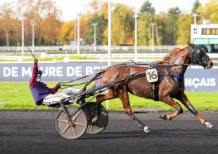 Pénteki Kincsem+ elemzés