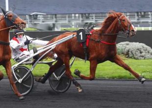 Hétfőn 13:55-kor vár a Kincsem+!