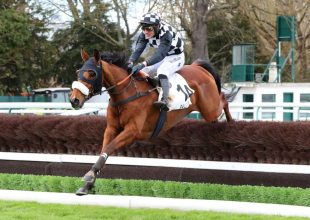 Szombaton galopp a Kincsem+ futam