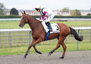 Kedden se hagyd ki a Kincsem+-t!