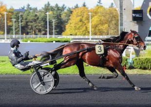 Vincennes-i ügető csütörtökön - 20 millió Ft jackpot a Kombi 4-re a Kincsem+ futamban!