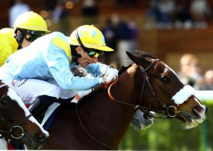 Chantilly – síkverseny – hétfő – 13:55 - Kincsem+ játék