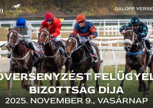 LÓVERSENYZÉST FELÜGYELŐ BIZOTTSÁG DÍJA A VASÁRNAPI GALOPPON