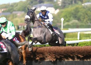 Vol d’Argent lehet a vasárnapi Kincsem+ futam egyik esélyese!