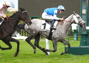 Toulouse-i ügető a keddi Kincsem+ játék!