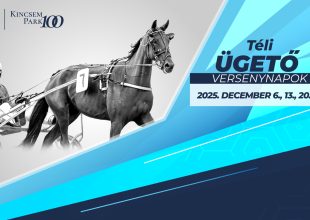 Téli versenynapok a Kincsem Parkban