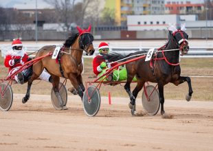 Baka Hendikep a szombati ügetőn, a Kincsem Parkban