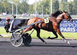 Charmy Charly As a főszereplők egyike lehet a szombati Kincsem+ futamban
