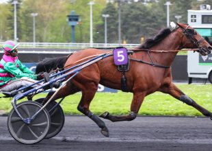 Cobra Killer Gar tovább őrizheti veretlenségét a csütörtöki Kincsem+ futamban!