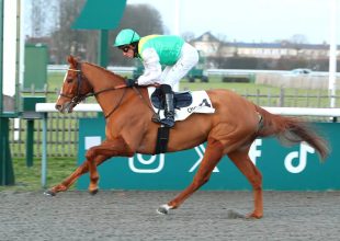 Dobba főszereplő lehet csütörtökön