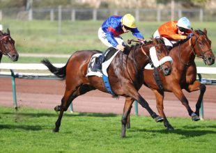 Deauville-i galopp a keddi Kincsem+ futam