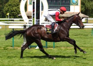 Hétfőn Deauville-ban lépnek pályára a Kincsem+ indulói