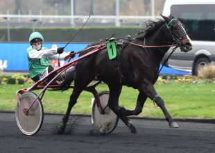 Kincsem+ szombaton is, 15:15-kor!