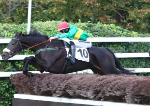 Gátversennyel folytatódik a Kincsem+ hétfőn