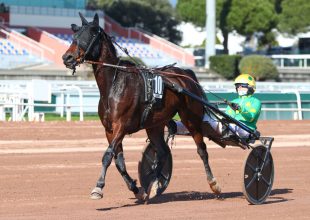 Pénteken 20:15-kor Kincsem+!