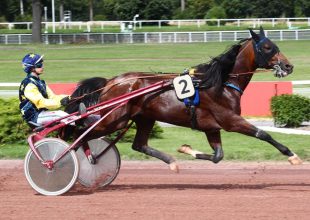 Hétfői ügető a Kincsem+ kínálat